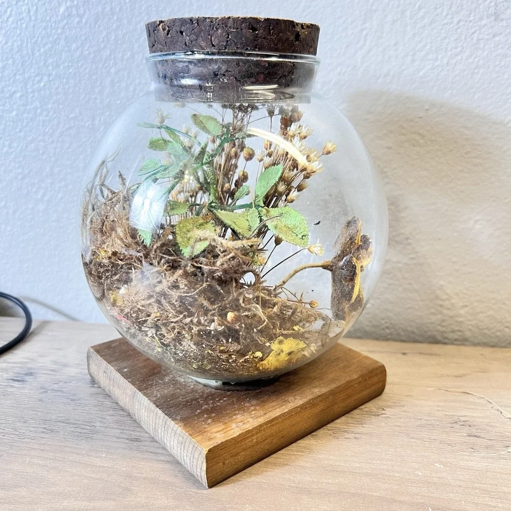 Vtg Leonard‎ Creations Glass Terrarium Dome Dried Flowers Wood Base California